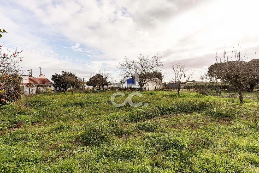 Quinta T4 para Venda em Estremoz (Santa Maria e Santo André) Foto 47