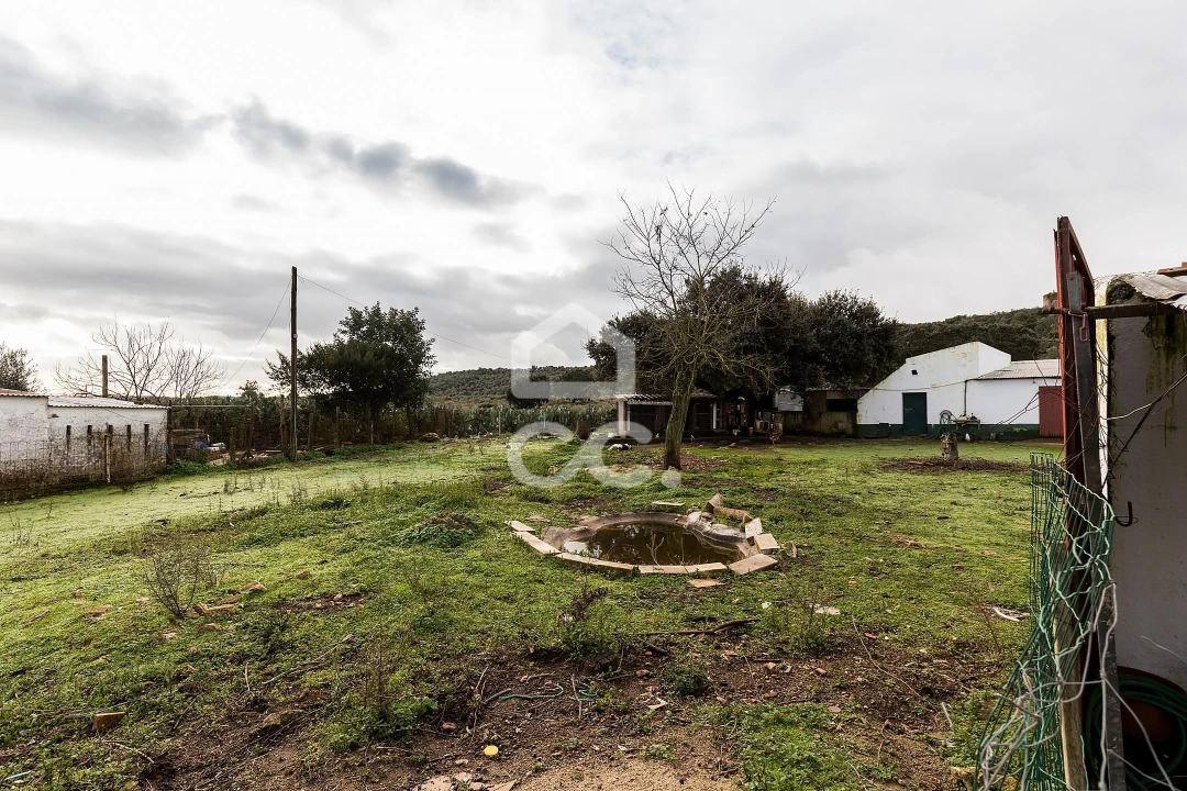Quinta T4 para Venda em Estremoz (Santa Maria e Santo André) Foto 40
