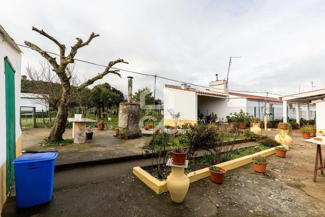 Quinta T4 para Venda em Estremoz (Santa Maria e Santo André) Foto 39