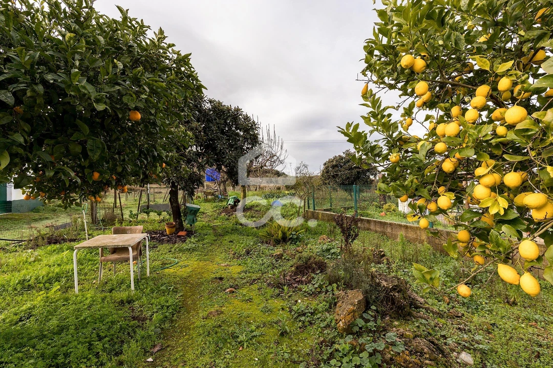 Quinta T4 para Venda em Estremoz (Santa Maria e Santo André) Foto 43