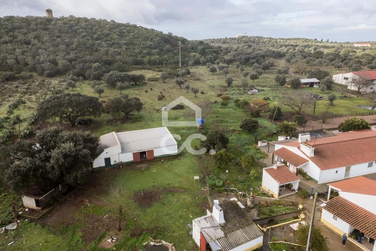 Quinta T4 para Venda em Estremoz (Santa Maria e Santo André) Foto 60