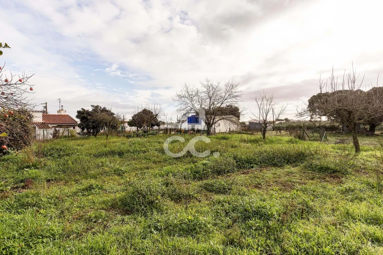 Quinta T4 para Venda em Estremoz (Santa Maria e Santo André) Foto 47