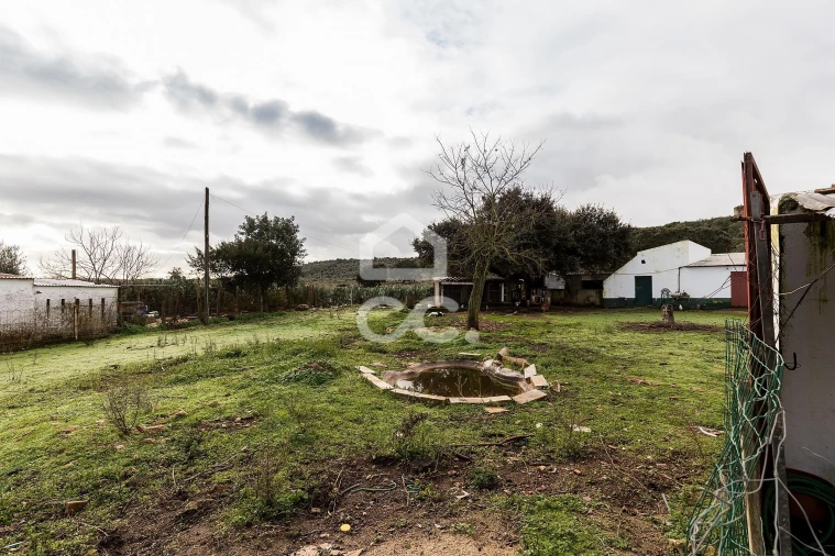 Quinta T4 para Venda em Estremoz (Santa Maria e Santo André) Foto 40