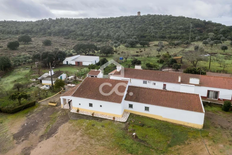 Quinta T4 para Venda em Estremoz (Santa Maria e Santo André) Foto 54