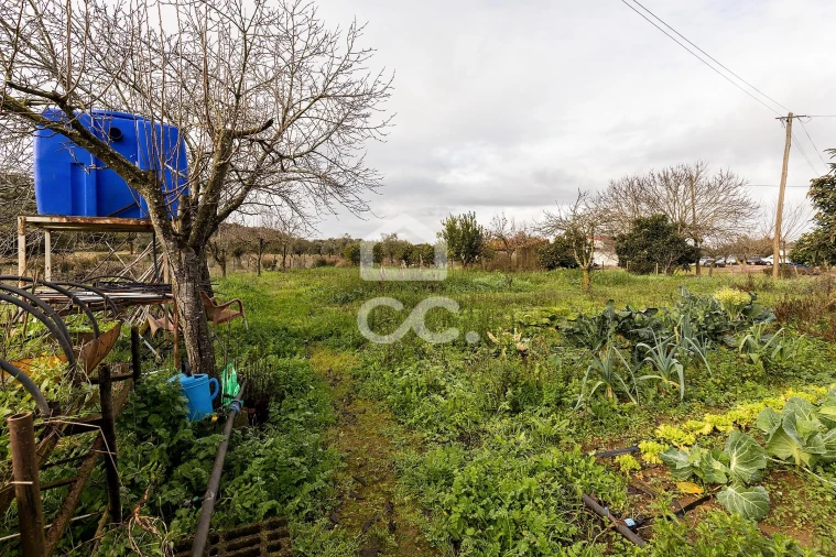 Quinta T4 para Venda em Estremoz (Santa Maria e Santo André) Foto 45