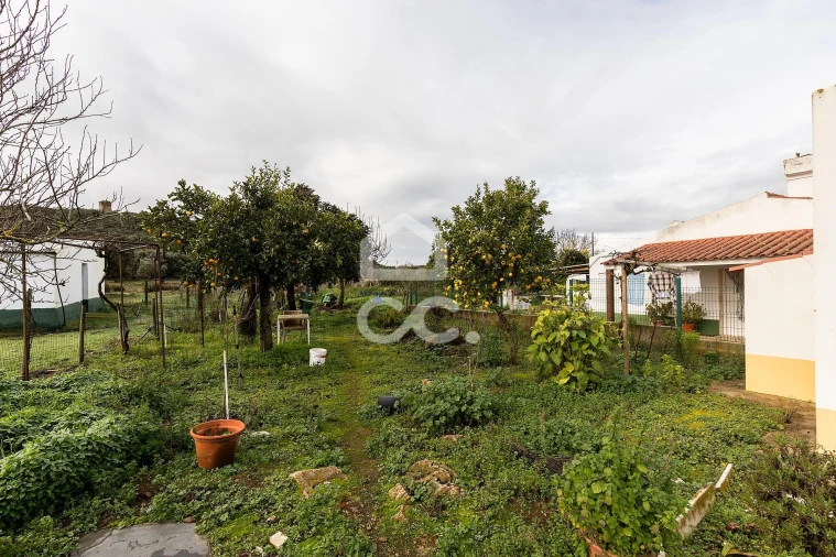 Quinta T4 para Venda em Estremoz (Santa Maria e Santo André) Foto 42