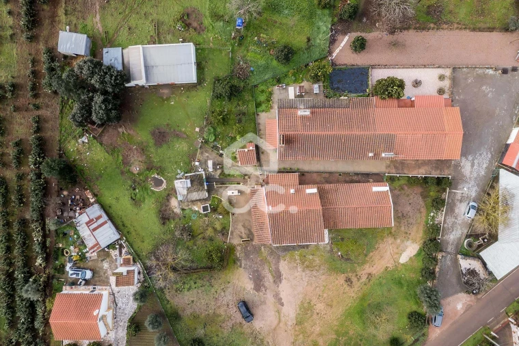 Quinta T4 para Venda em Estremoz (Santa Maria e Santo André) Foto 58