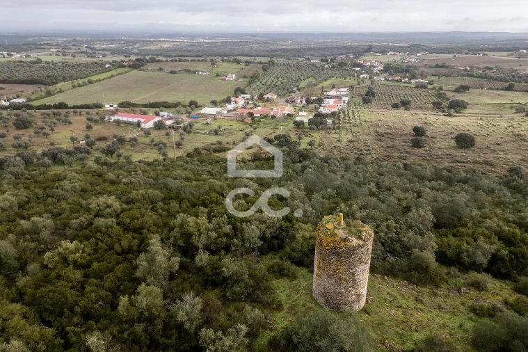 Quinta T4 para Venda em Estremoz (Santa Maria e Santo André) Foto 65