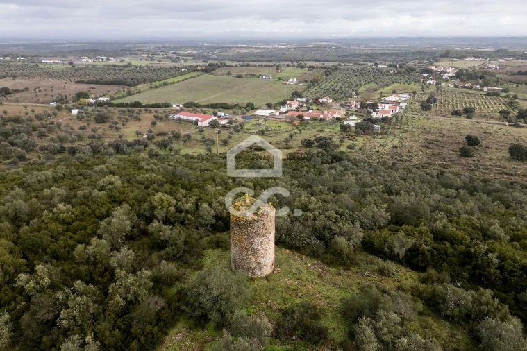 Quinta T4 para Venda em Estremoz (Santa Maria e Santo André) Foto 66