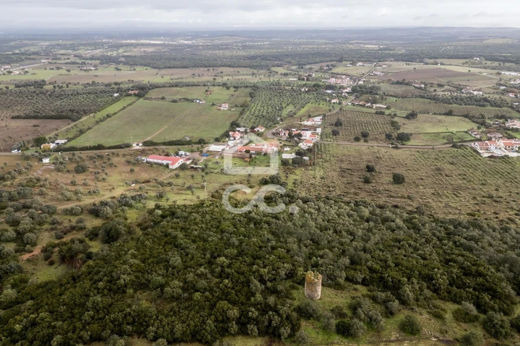 Quinta T4 para Venda em Estremoz (Santa Maria e Santo André) Foto 64
