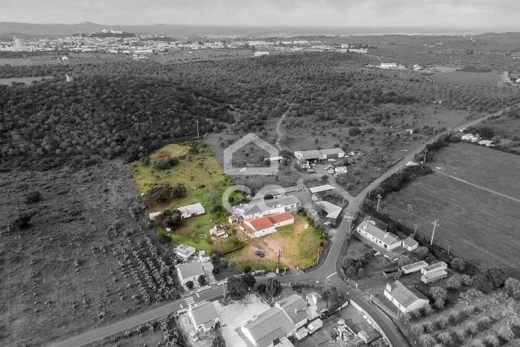 Quinta T4 para Venda em Estremoz (Santa Maria e Santo André) Foto 53