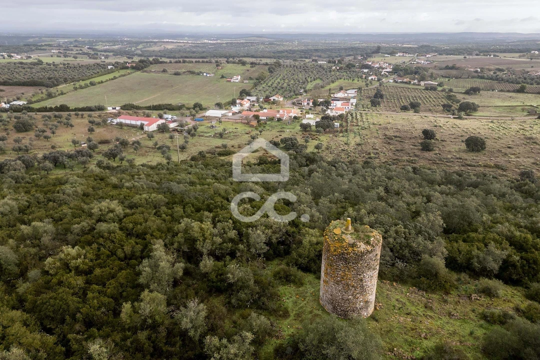 Quinta T4 para Venda em Estremoz (Santa Maria e Santo André) Foto 65