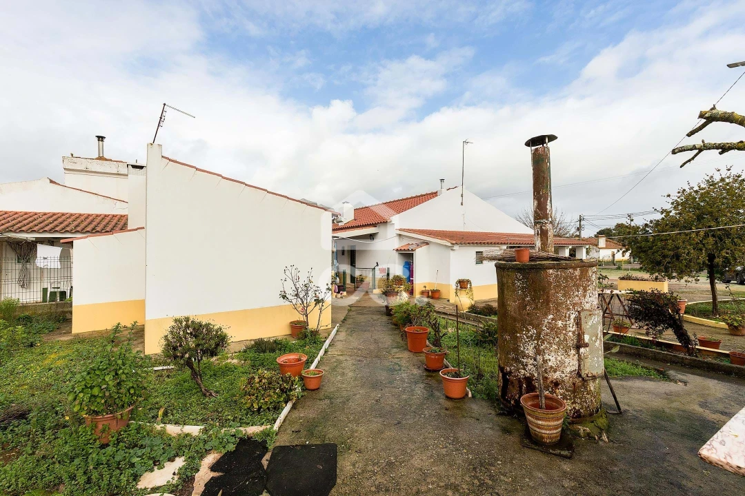 Quinta T4 para Venda em Estremoz (Santa Maria e Santo André) Foto 33