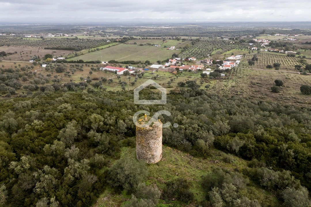 Quinta T4 para Venda em Estremoz (Santa Maria e Santo André) Foto 66