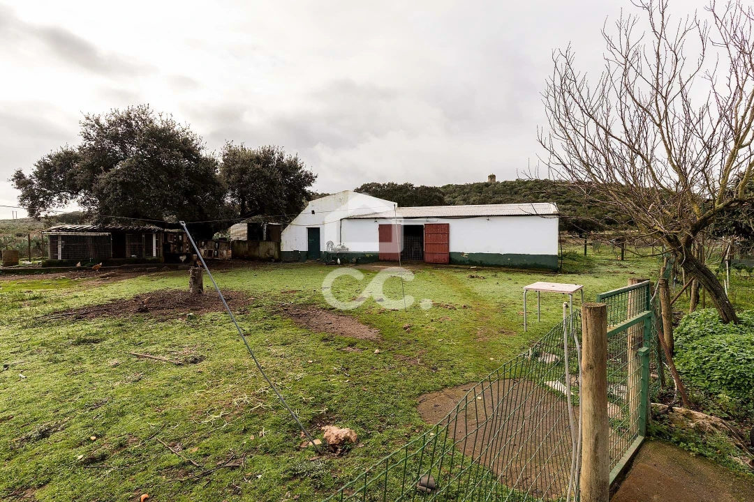 Quinta T4 para Venda em Estremoz (Santa Maria e Santo André) Foto 41