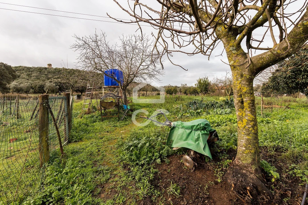Quinta T4 para Venda em Estremoz (Santa Maria e Santo André) Foto 44