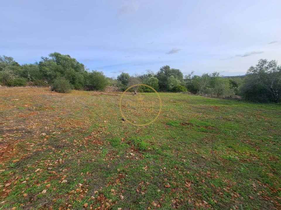 Terreno para Venda em Loule (São Clemente) Foto 8