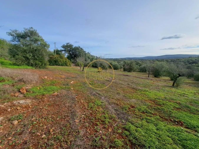 Terreno para Venda em Loule (São Clemente) Foto 9