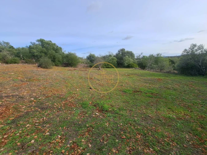 Terreno para Venda em Loule (São Clemente) Foto 8