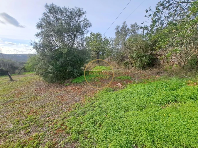Terreno para Venda em Loule (São Clemente) Foto 15