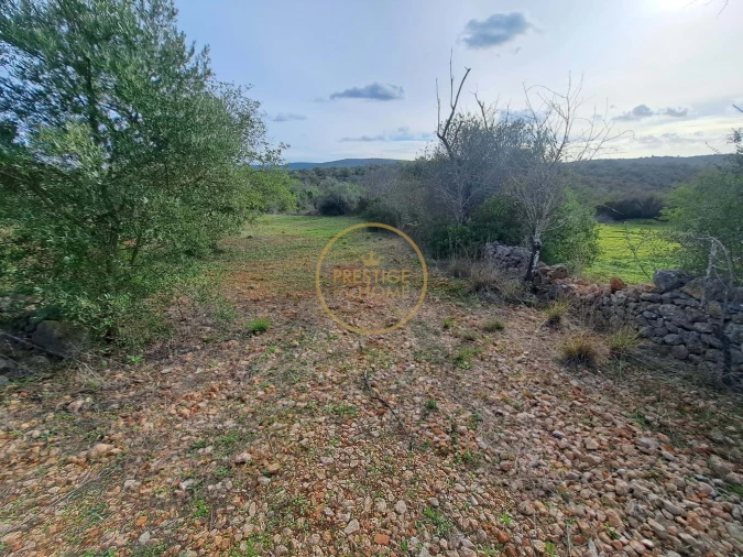 Terreno para Venda em Loule (São Clemente) Foto 13