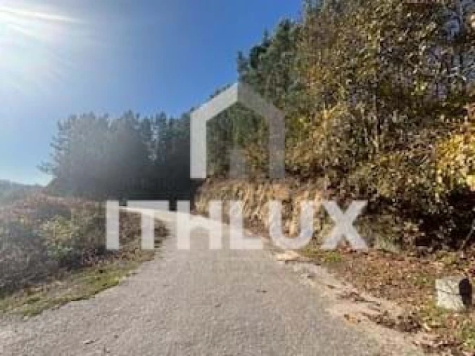 Terreno para Venda em Meinedo Foto 4