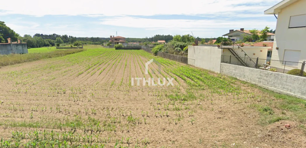 Terreno para Venda em Maceda Foto 2