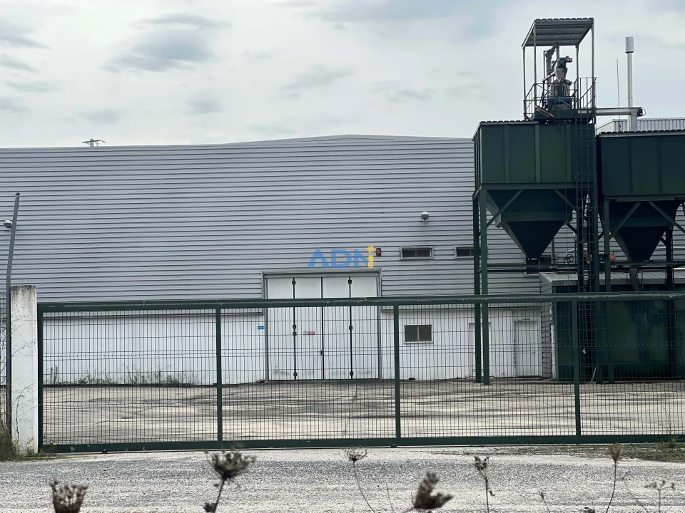 Negócio para Venda em Proença-A-Nova e Peral Foto 124