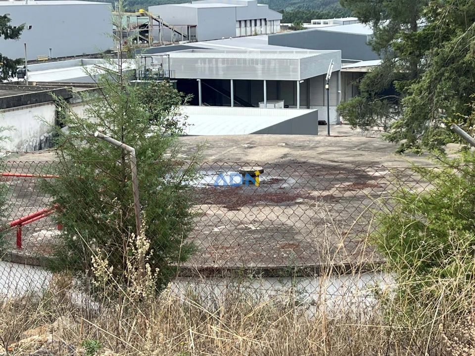 Negócio para Venda em Proença-A-Nova e Peral Foto 129