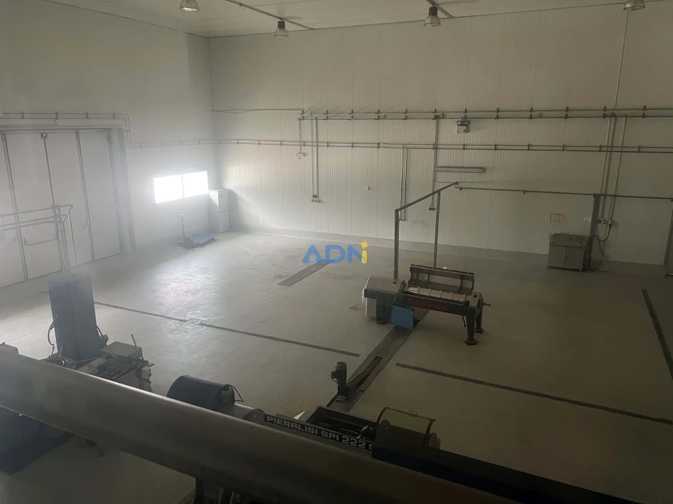 Negócio para Venda em Proença-A-Nova e Peral Foto 55