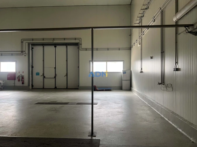 Negócio para Venda em Proença-A-Nova e Peral Foto 42