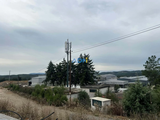 Negócio para Venda em Proença-A-Nova e Peral Foto 131