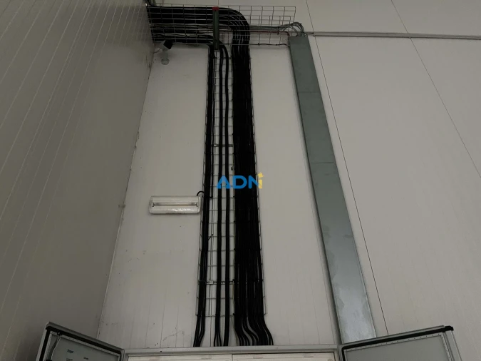 Negócio para Venda em Proença-A-Nova e Peral Foto 70