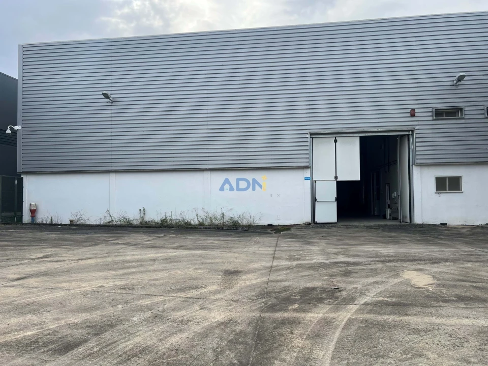 Negócio para Venda em Proença-A-Nova e Peral Foto 113