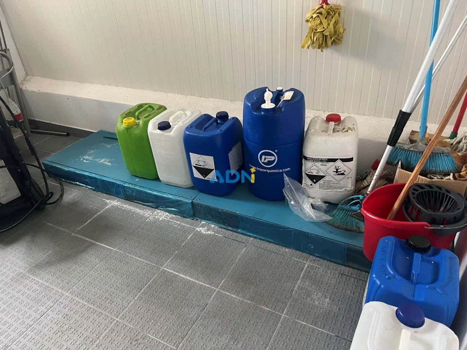 Negócio para Venda em Proença-A-Nova e Peral Foto 76