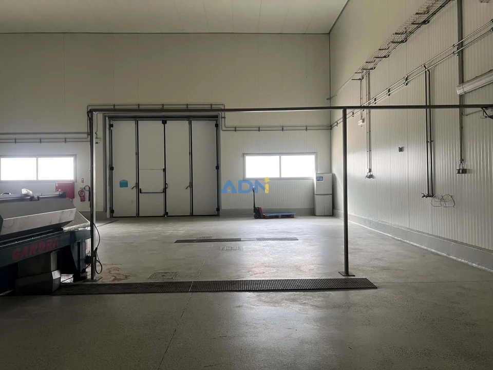 Negócio para Venda em Proença-A-Nova e Peral Foto 44