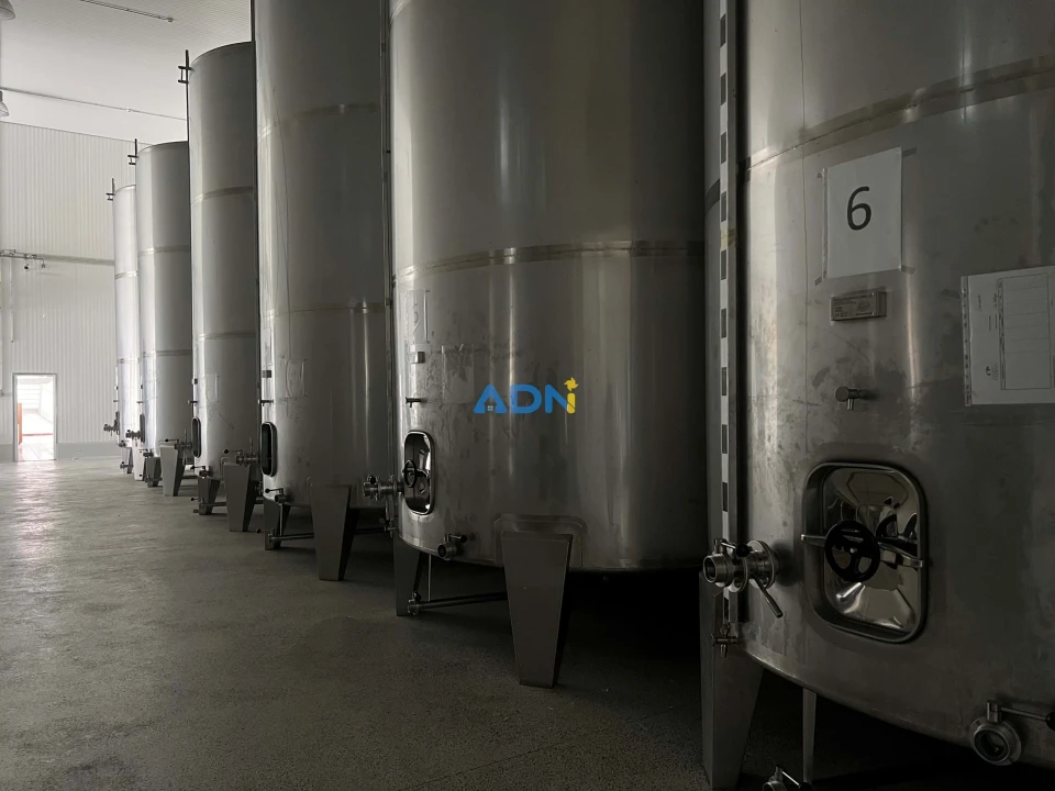 Negócio para Venda em Proença-A-Nova e Peral Foto 28