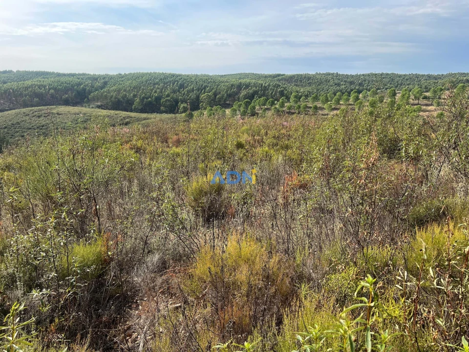 Terreno para Venda em Castelo Branco Foto 29