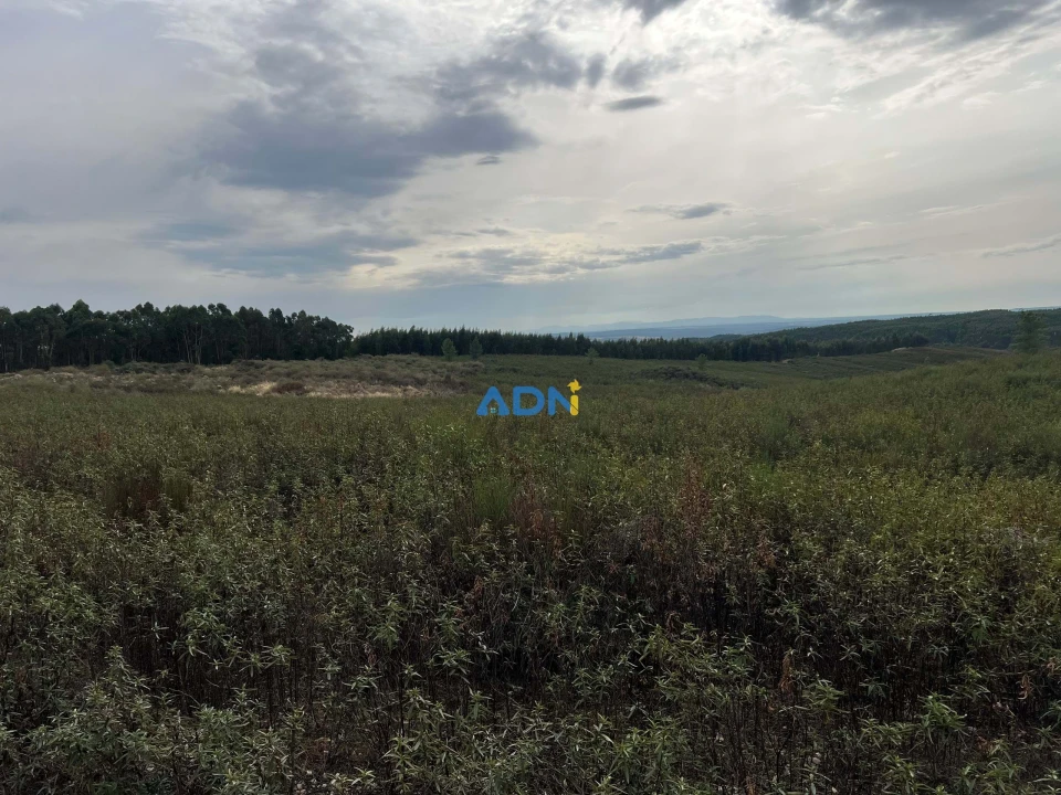 Terreno para Venda em Castelo Branco Foto 6