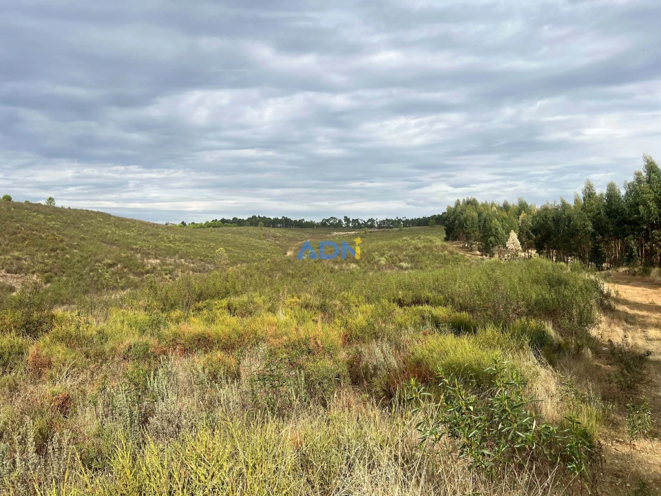 Terreno para Venda em Castelo Branco Foto 22