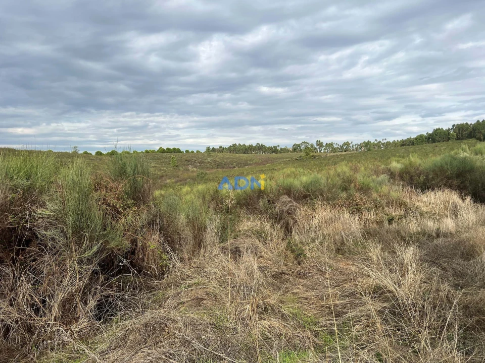 Terreno para Venda em Castelo Branco Foto 19