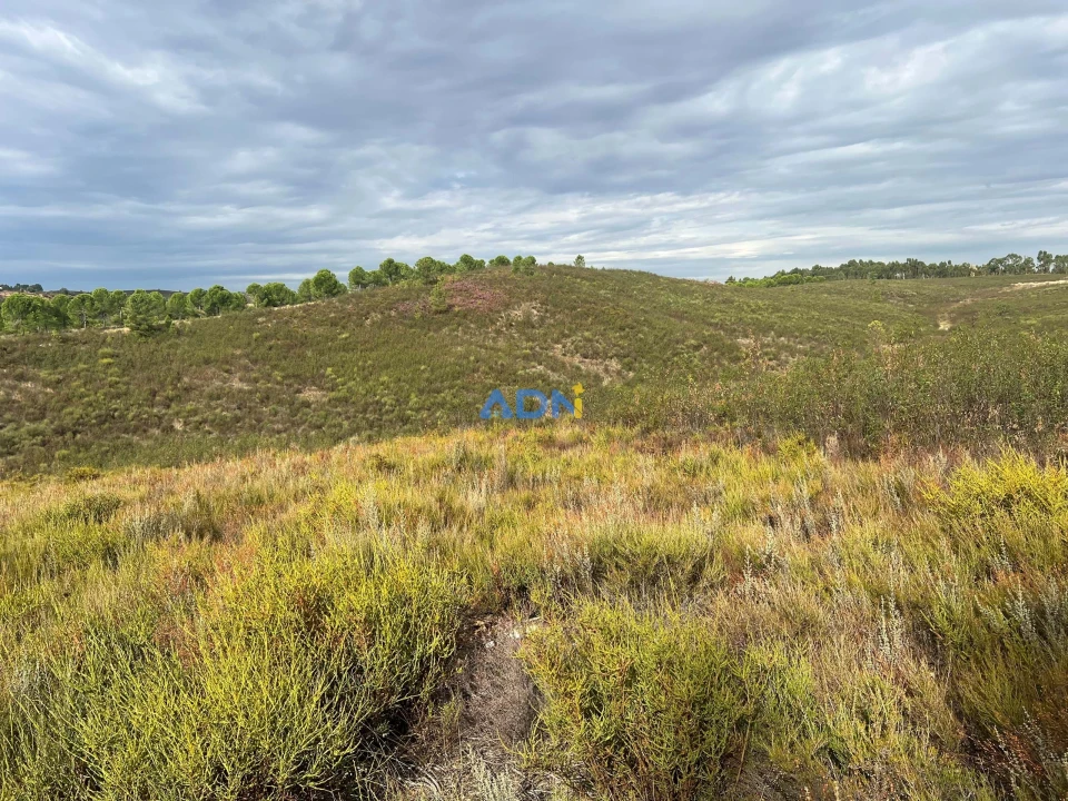 Terreno para Venda em Castelo Branco Foto 27