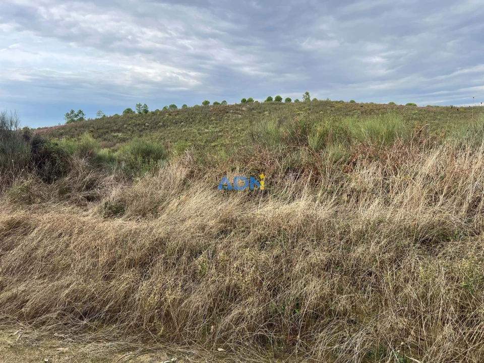 Terreno para Venda em Castelo Branco Foto 15
