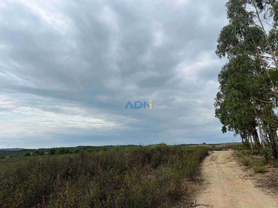 Terreno para Venda em Castelo Branco Foto 8
