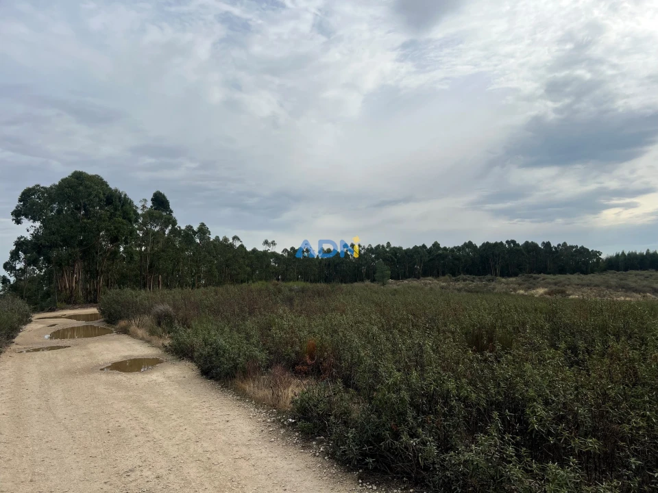 Terreno para Venda em Castelo Branco Foto 4