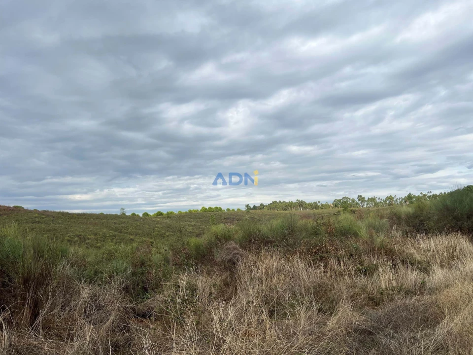 Terreno para Venda em Castelo Branco Foto 2