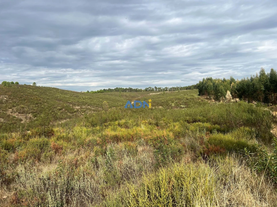 Terreno para Venda em Castelo Branco Foto 25