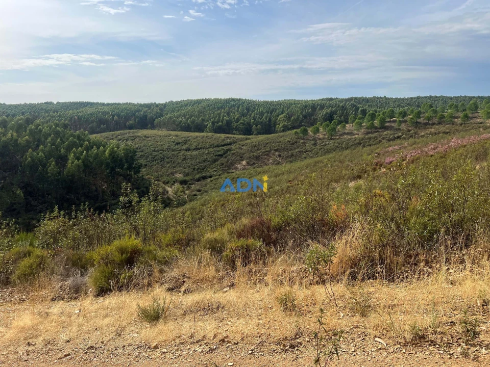 Terreno para Venda em Castelo Branco Foto 38