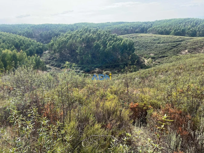 Terreno para Venda em Castelo Branco Foto 32