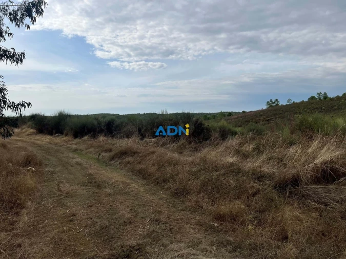 Terreno para Venda em Castelo Branco Foto 14